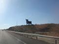 dsc05673.jpg