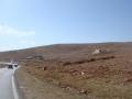 dsc05849.jpg