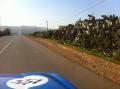 img-1655.jpg